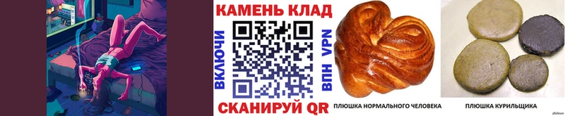 Гашиш Premium  ОМГ ОМГ как войти  Медвежьегорск  где найти наркотики 